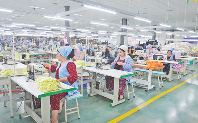 提升棉花種植技術(shù) 推動(dòng)紡織工業(yè)發(fā)展